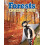 Forests by James Bow Paperback Book 1