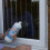 Bond It PVCu Solvent Cleaner 2 Pack 1L Each – PVC Cleaner for Windows 3