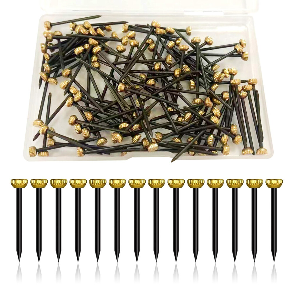 Picture Pins Nails, 100Pcs Picture Hanging Nails For Wall Pins Brass Head Frame Nail Hook Pin For Hanging Pictures Photo Frame 5051226624629