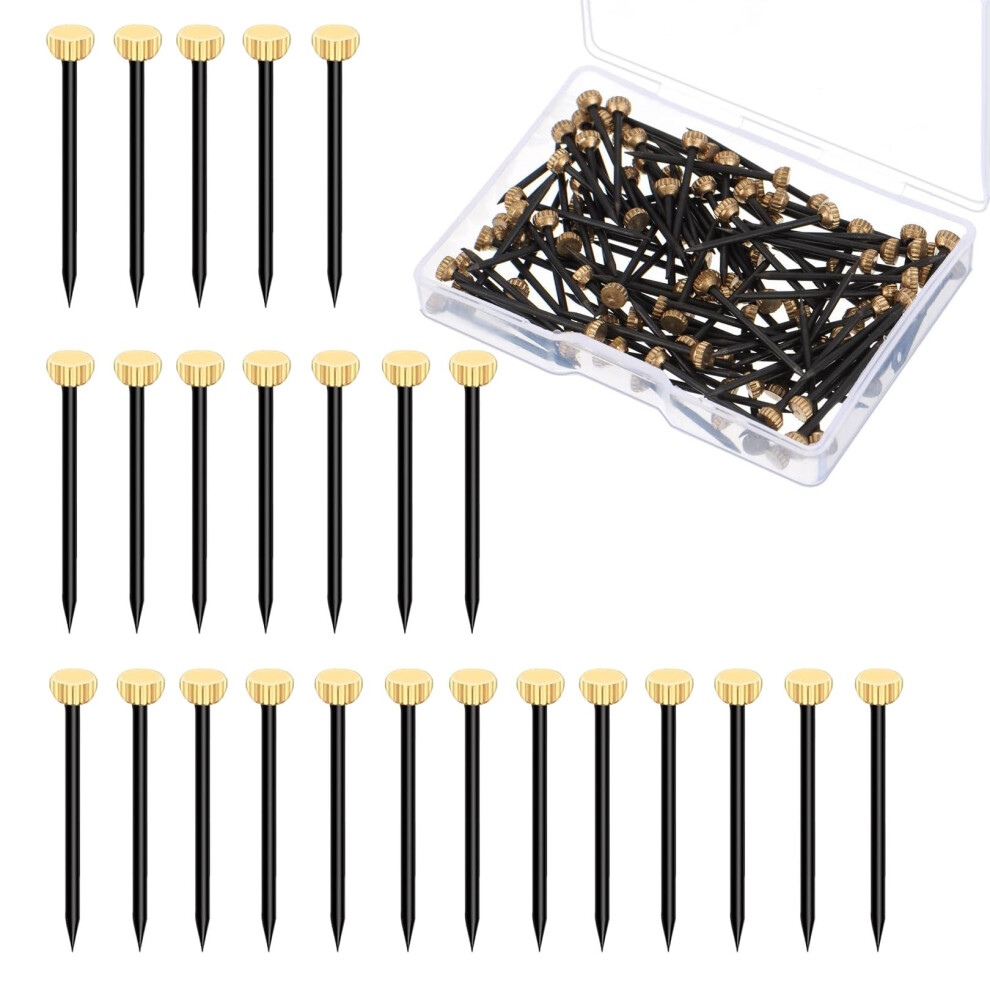50Pcs Metal Plaster Picture Frame Hangers Picture Hanging Nails With Plastic Storage Box,Plaster Picture Frame Hanging Hooks Picture Pins,Metal Head 5051226993664