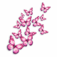 Persian Pink Butterfly Wall Stickers, Vinyl Decals Set of 12