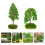 8Pcs Mini Simulation Tree Model Green Plastic for Architecture Scenery 11
