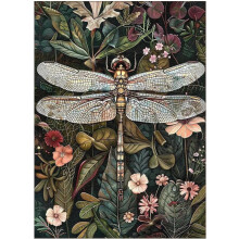 BEAYIOU Paint by Numbers for Adult, Dragonfly Paint by Numbers Kit for Adults Beginners, DIY Dragonfly Acrylic Painting on Canvas for Home Wall Art D