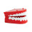 Funtime Gifts Clockwork Chattering Teeth, Red 3