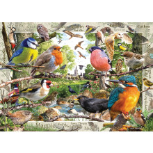 Ravensburger Our Feathered Friends 1000 Piece Jigsaw Puzzles for Adults and Kids Age 12 Years Up