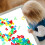 67 Pcs Plastic Practice Set - Transparent Educational 4