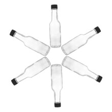 6pcs Glass Sauce Containers with Easy Dispense Spout for Ketchup Honey Salad Dressing Home Picnic