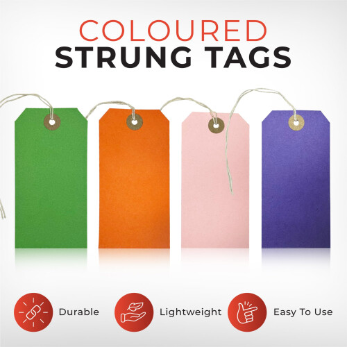 Box of 1000 Blue Strung Tags 120mm x 1