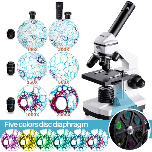 2000X Compound Microscope for Kids Adults: Microscope for Biology Education 1