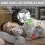 Gbbazu Replacement Universal Full Face Silicone Mask Assembly Comparable (L) 2