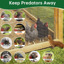 Amagabeli 1.0Mx25M,12.7mm Holes 0.7mm Galvanized Welded Chicken Wire Mesh Roll Aviary Fence Wire Hot-Dipped Mesh Fencing Hardware Cloth Coop Rabbit Sn