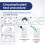 Anbio 2 x Blood Type Test Kit - Group A, B, RHD Testing - Rapid Home Tests 3