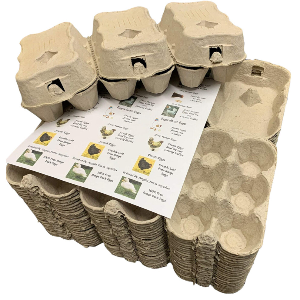 Photos - Envelope / Postcard MPC ERADICATE Anglia Farm Supplies 100 Cardboard egg boxes half dozen cartons fo
