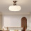 Modern LED Flush Mount Ceiling Light with ThreeColor Change and Elegant Feather Design for Bedroom 4