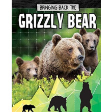 Grizzly Bear by Paula Smith Paperback Book