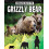 Grizzly Bear by Paula Smith Paperback Book 1