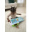 LeapFrog Leapfrog Learning Friends 100 Words Book English 3