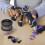 Play-Doh Play-Doh Marvel Black Panther Cutting Claws Action Figure Playset 4