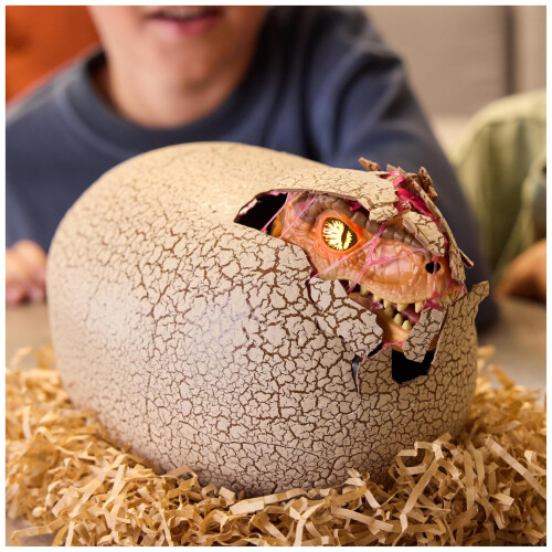 Primal Hatch Jurassic World Interactive Toy Dinosaur  Egg Hatch  Train your 1