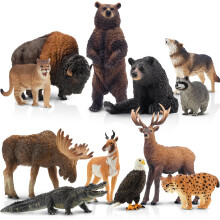 toymany 12PCS North American Forest Animal Figurines, Realistic Jungle Animal Set Includes Raccoon,Lynx,Wolf,Bear,Eagle, Educational Toy Cake Toppers