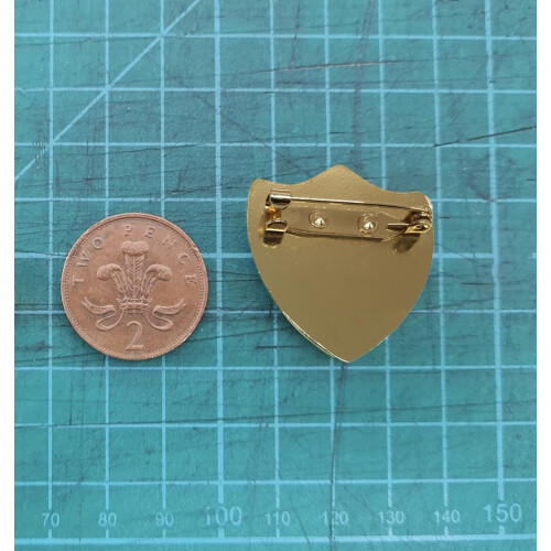 Create Your Own School Shield Badge (Red) 2
