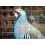 75 m x 1 m Aviary wire Wire mesh Welding grid Wire fencing Hot-dip galvanized 8
