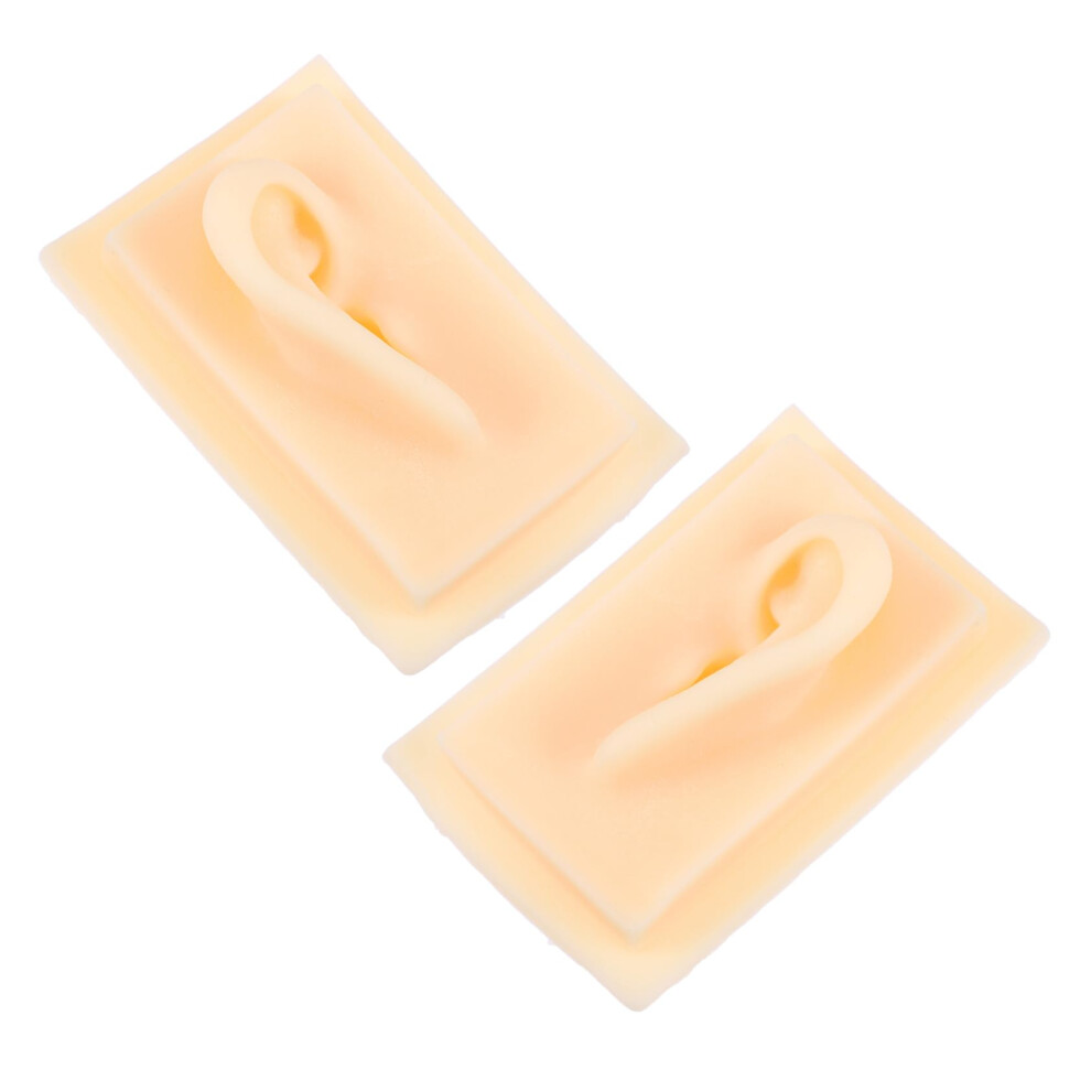Realistic Silicone Ear Anatomy Model Lifesize Human Ear for Medical Training and Teaching
