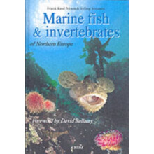 Marine Fish Invertebrates of Northern Europe by Erling Svensen Hardcov