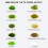 Jucoci Miniature Grass Tufts - Static Model Grass (Winter Light Green) 4