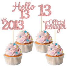 Gyufise 24 Pack 13th Birthday Cupcake Toppers Hello 13 Thirteen Official Teenager Since 2013 Cupcake Picks 13th Birthday Party Cake Decorations Suppl