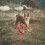 Hunde Trainingsring schwimmend EVA 9