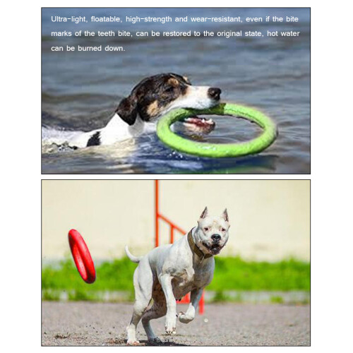 Schwimmender Hunde Spielzeug Ring