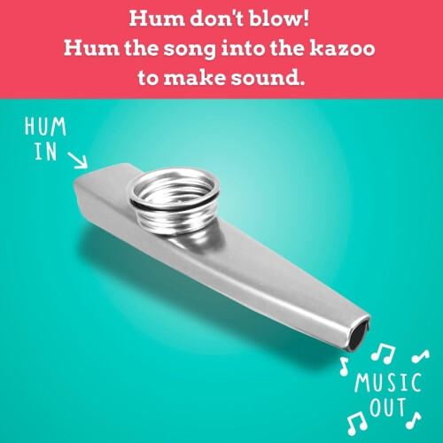 Ridley's Games RID430 Kazoo That Tune Game, Multi 2
