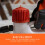 BLACK+DECKER Wallpaper Steamer Stripper with Pad, KX3300T-GB 5