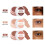 Under Eye Concealer and Color Corrector for Dark Circles, Lightweight Longwear Coverage 2
