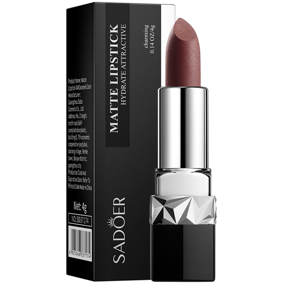 Velvet Matte Long Lasting Lipstick 12H TransferProof Moisturizing 04 Caramel 4g