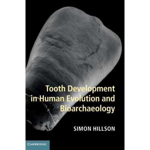 Tooth Development in Human Evolution and Bioarchaeology by Simon Hills