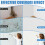 Wonshine White Paint for Walls, White Wall Paint, Fast-Drying & Water-Based, Por 2