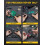 Fanttik T1 Max Soldering Iron Kit, Cordless Solder 8