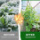 TEYIAN 2 x 10M Heavy Duty Polythene Plastic Sheeting Thickened Plastic 5