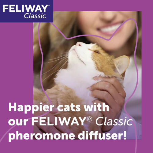 Feliway FELIWAY Classic 30 Day Cat Calming Odourless Refill for Pheromone Diffuser, 48ml 1