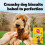 Pedigree Pedigree Biscrok Multi Mix - Dog Treats - Bone-Shaped Biscuits - 500 g 6
