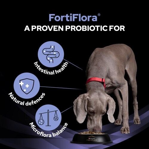 PRO PLAN Fortiflora Probiotic Dog Supplements 30x1g 1