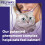 Feliway FELIWAY Optimum 30 Day Cat Calming Odourless Refill for Pheromone Diffuser, 48ml 2