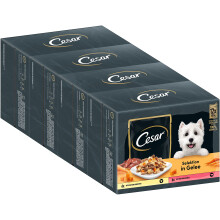 Cesar Adult Wet Dog Food Selection in Jelly, 48 Portion Bags, 12 x 100 g (Pack of 4) - Balanced Premium Dog Food Wet, with Chicken & Beef