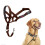 Halti Halti Headcollar - Stop Your Dog Pulling on the Lead. Adjustable, Reflective and 1