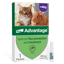 Advantage Spot On Flea Treatment For Large Cats and Rabbits Over 4kg (1 pipette, 80mg), Kills Fleas Within 24 Hours, Prevents Further Infestation For