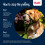 Halti Halti Headcollar - Stop Your Dog Pulling on the Lead. Adjustable, Reflective and 4