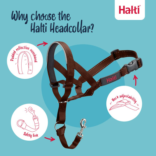 Halti Halti Headcollar - Stop Your Dog Pulling on the Lead. Adjustable, Reflective and 2