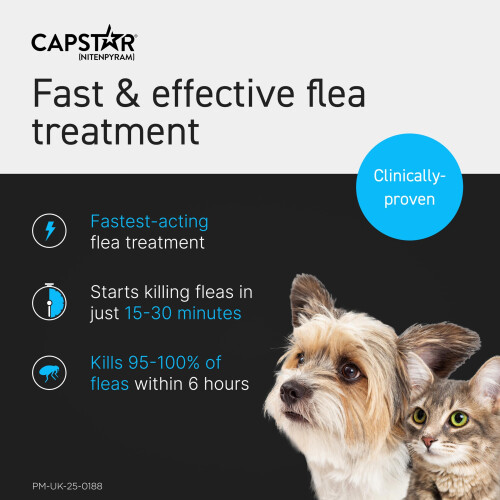 Capstar Capstar Flea Tablets, Fast Acting Flea Treatment For Cats & Small 1